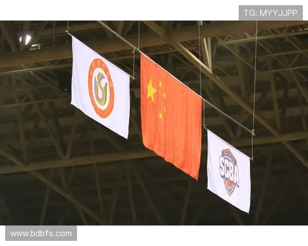 国内重要体育联赛（国内重要体育联赛排行榜）sports